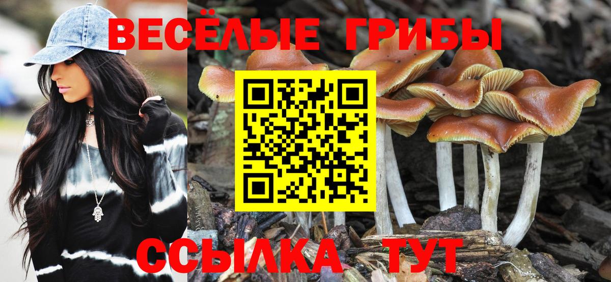 Бошки Шишки  МЕФ кристаллы  ГАШИШ  Вход с VPN  MDMA  Цена  NBOMe  КОКАИН  Чернушка  Каннабис 