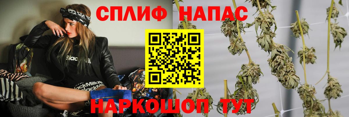 Марихуана планчик Чернушка