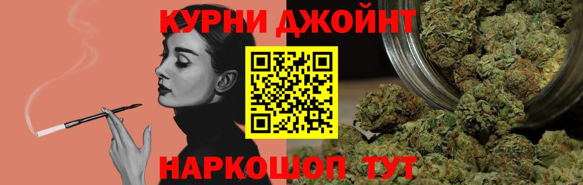 Каннабис план  Вход с VPN  Бошки Шишки конопля  Шишки марихуана планчик  Чернушка 